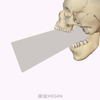 艺术家头像