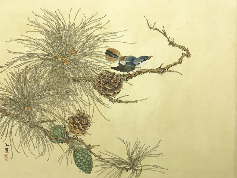 松果小鸟