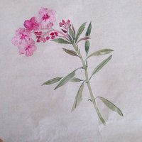 艺术家作品