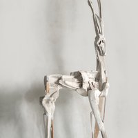 艺术家作品