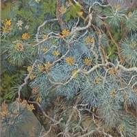 艺术家作品