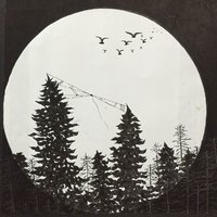 艺术家作品