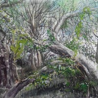艺术家作品