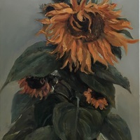 艺术家作品