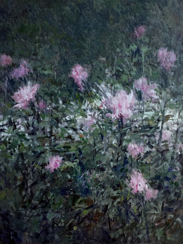 17朵花