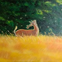 艺术家作品