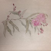 艺术家作品
