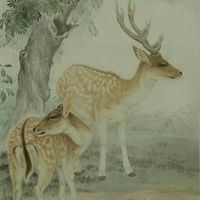 艺术家作品
