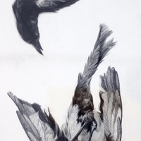 艺术家作品