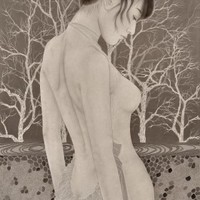 艺术家作品