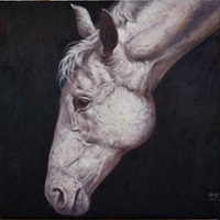 艺术家作品