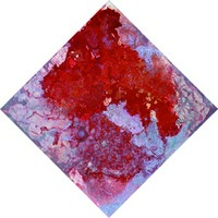 艺术家作品