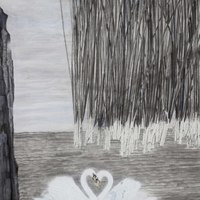 艺术家作品