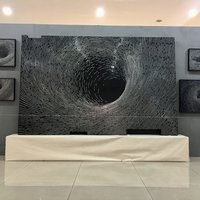 艺术家作品