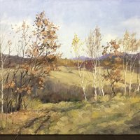 艺术家作品