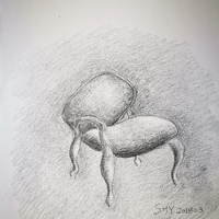 艺术家作品