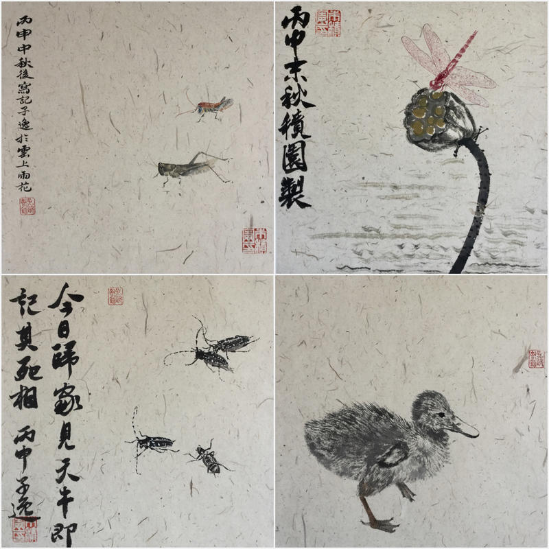 草虫写生