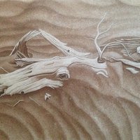 艺术家作品