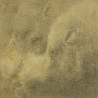 艺术家作品