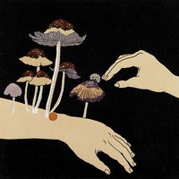 艺术家作品