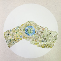 艺术家作品