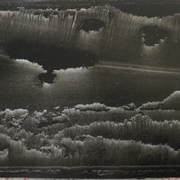 艺术家作品