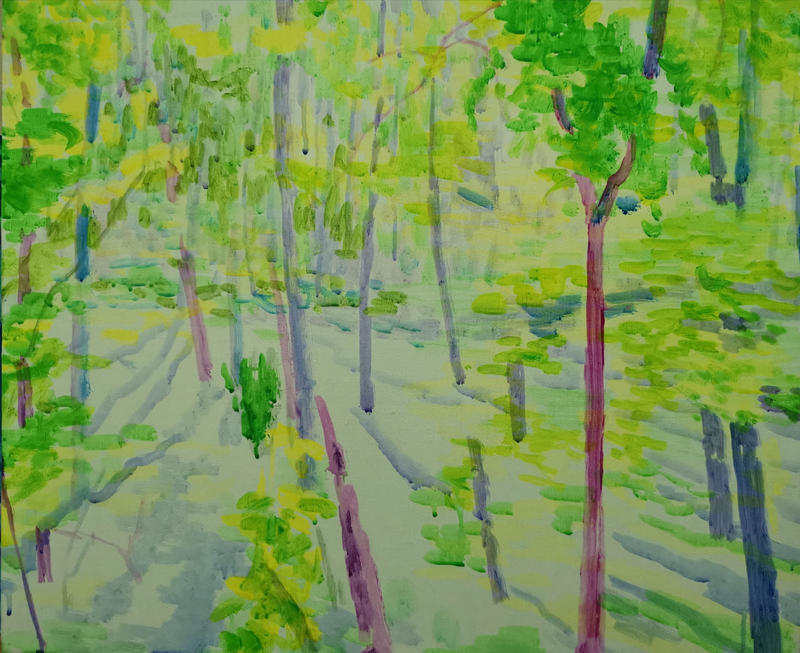 阳光照进树林里3