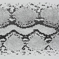 艺术家作品