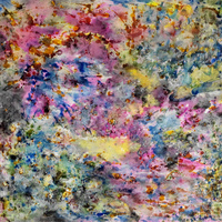 艺术家作品