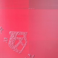 艺术家作品