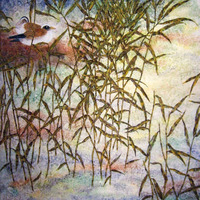 艺术家作品
