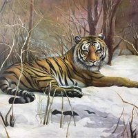艺术家作品