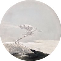 艺术家作品