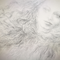 艺术家作品