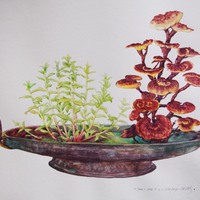 艺术家作品