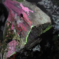 艺术家作品