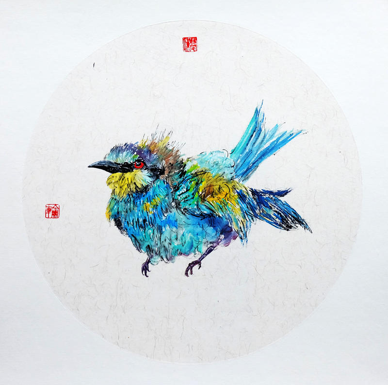 bird