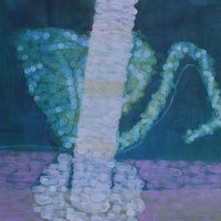 艺术家作品