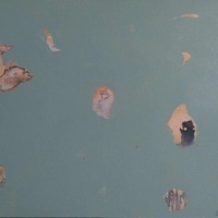 艺术家作品