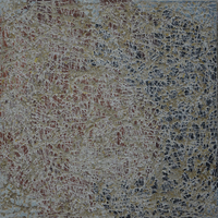 艺术家作品