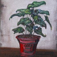 艺术家作品