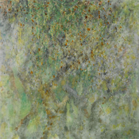 艺术家作品