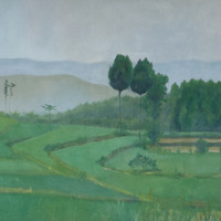 艺术家作品