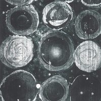 艺术家作品