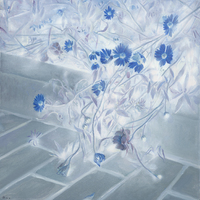 艺术家作品
