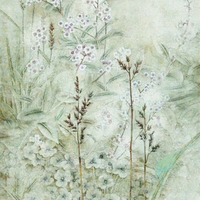 艺术家作品