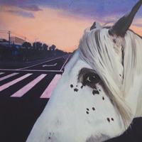 艺术家作品
