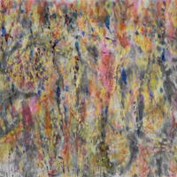艺术家作品