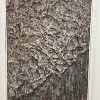 艺术家作品