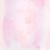 艺术家作品